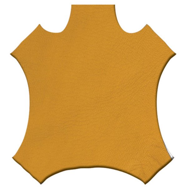 Кусочек кожи