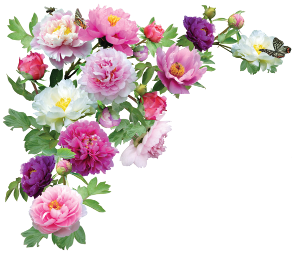 Цветы на прозрачном Фог