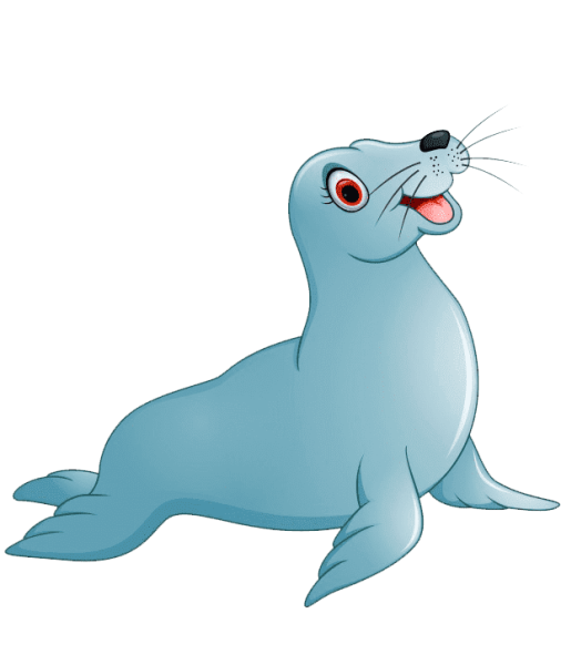 Тюлень на прозрачном фоне