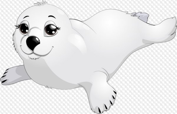 Нерпа Байкальская на белом фоне для детей