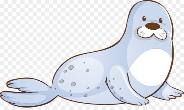 Тюлень на белом фоне