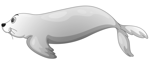 Нерпа иллюстрация