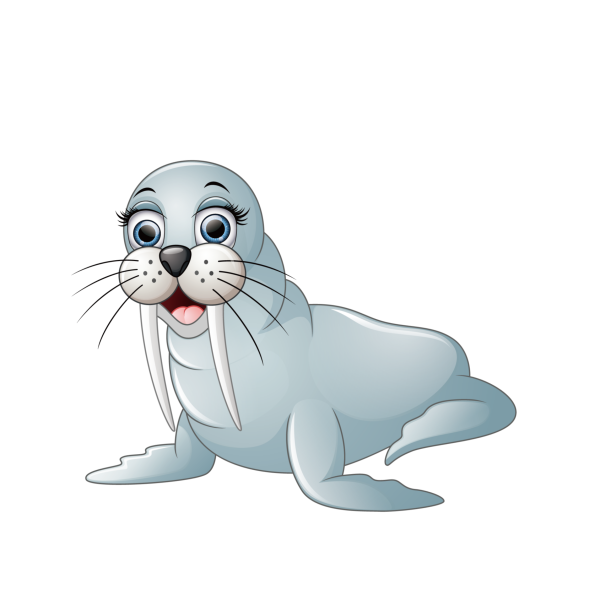 Нерпа мультяшная