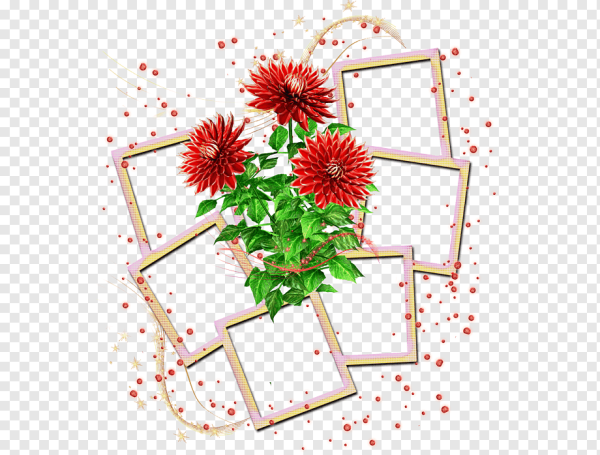 Рамка для коллажа с цветами