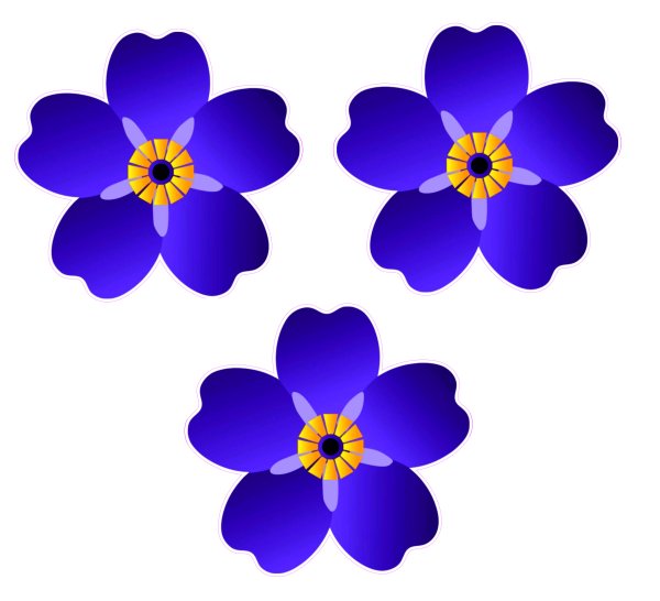 Незабудка растение