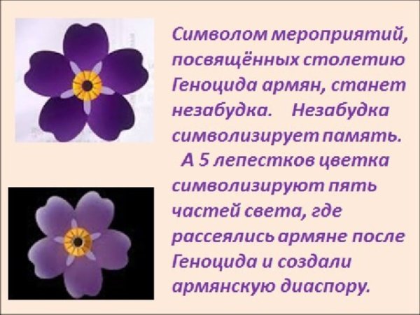 Незабудка символ геноцида армян