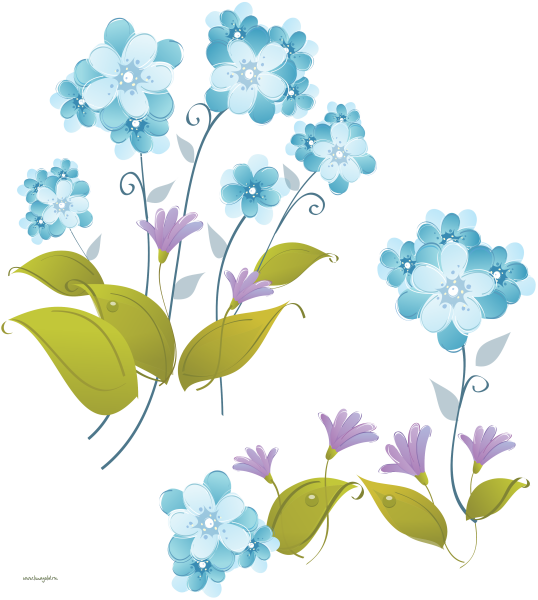 Незабудка клипарт