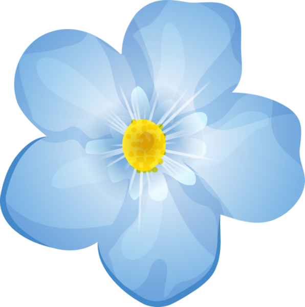 Голубые цветы на прозрачном фоне