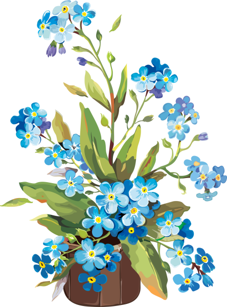 Незабудка срезка