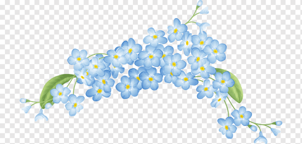 Голубые цветы на прозрачном фоне