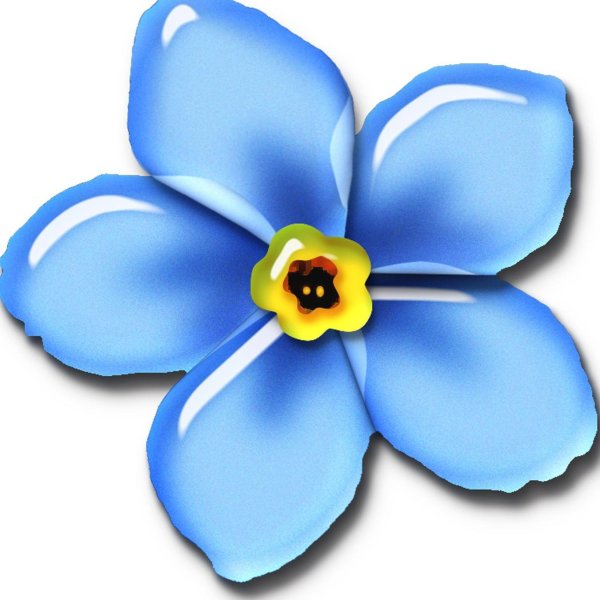 Цветочки на белом фоне