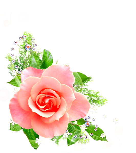 Цветы для вставки