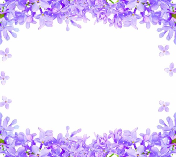 Рамка с фиолетовыми цветами