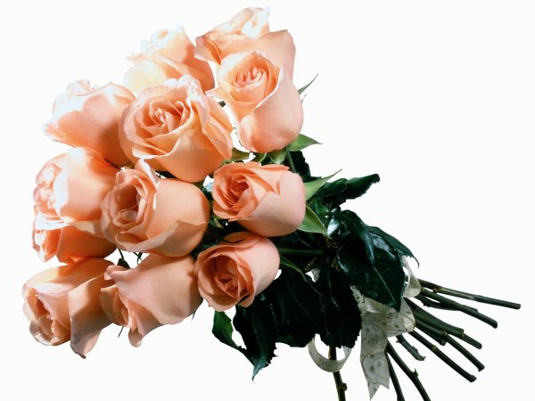 Букет на прозрачном фоне для фотошопа