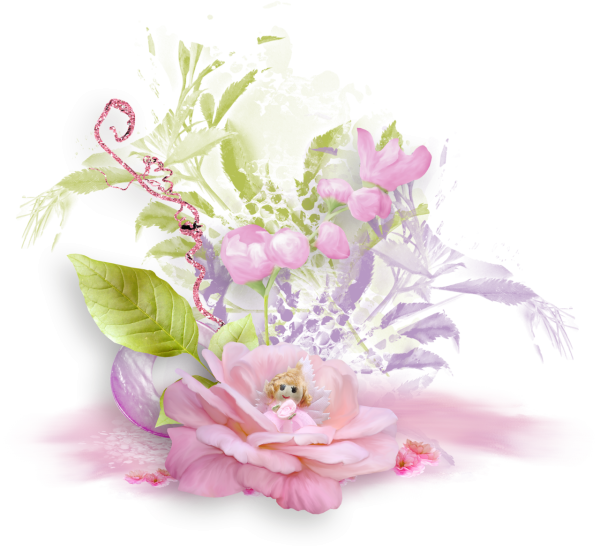 Нежные цветы на прозрачном фоне