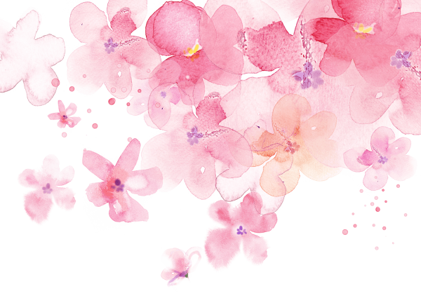 Розовые цветы на прозрачном фоне