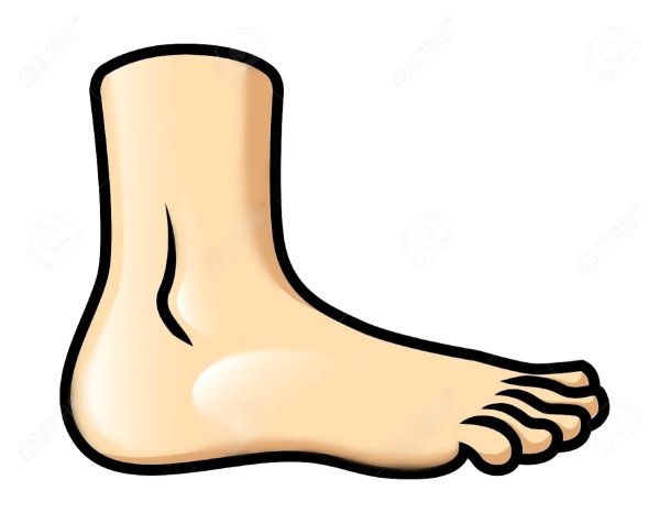 Ступня ребенка на прозрачном фоне