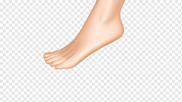 Ноги на прозрачном фоне