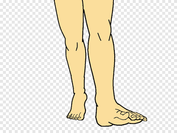 Мультяшные ноги