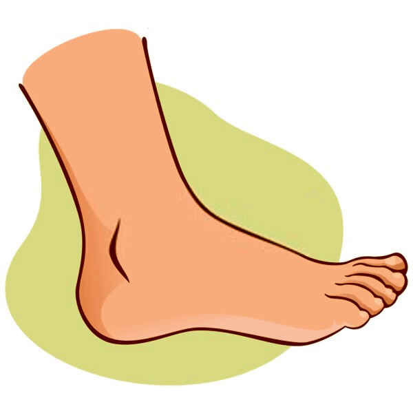 Стопа боком