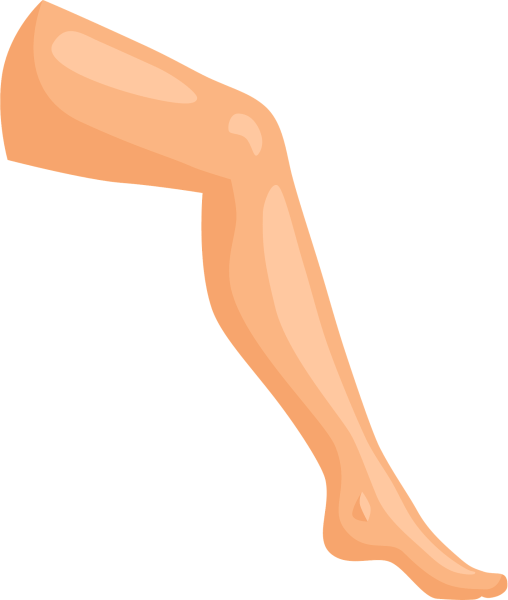 Ноги без фона