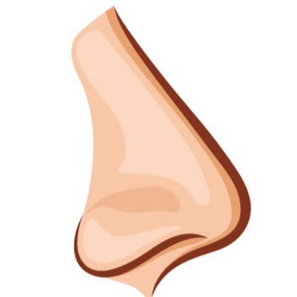 Нос на белом фоне