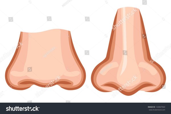 Нос рисунок для детей