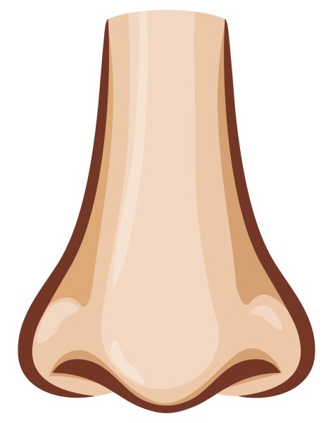 Нос мультяшное