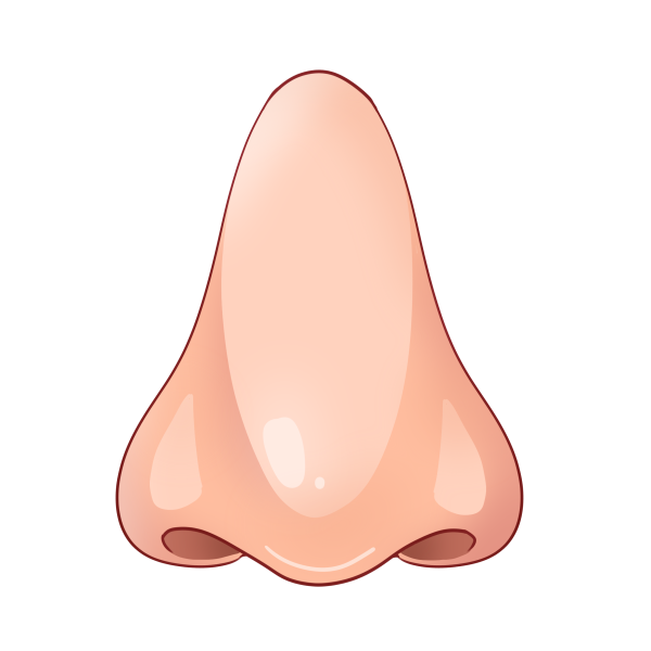 Нос на белом фоне