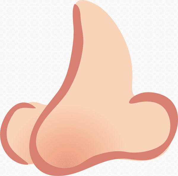 Векторный нос