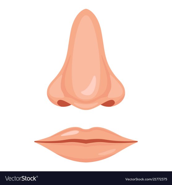 Нос для дошкольников