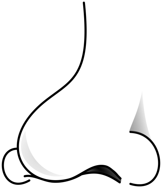 Нос на прозрачном фоне