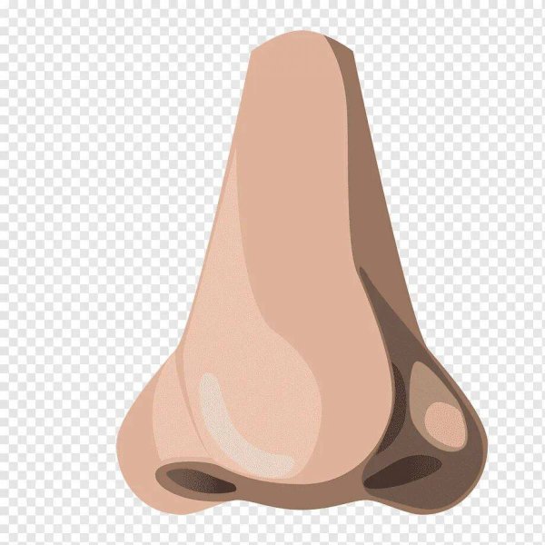 Нос на прозрачном фоне