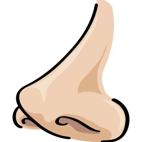 Нос на прозрачном фоне