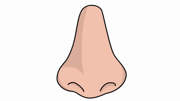 Нос без фона