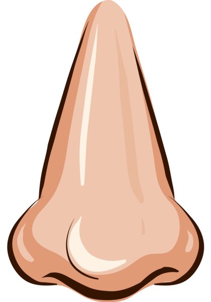 Нос рисунок для детей