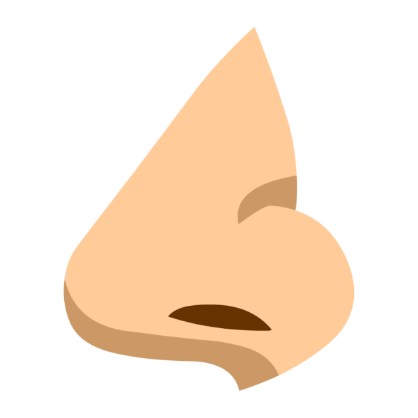 Изображение носа