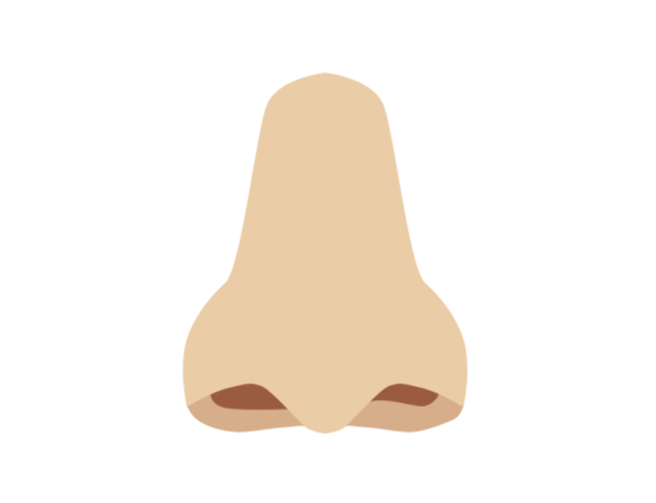 Нос на прозрачном фоне