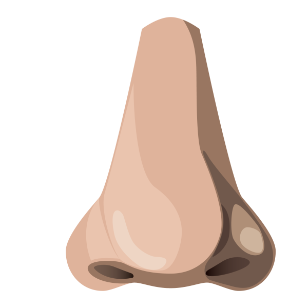 Мультяшные носы