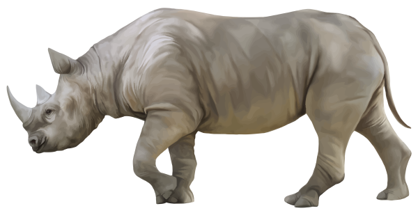 Носорог сбоку