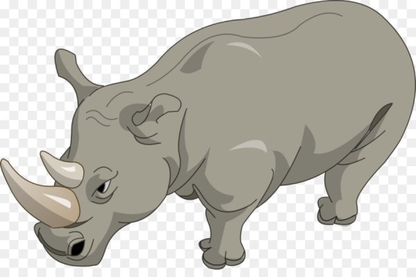 Носорог для дошкольников