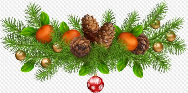 Еловая ветвь новый год