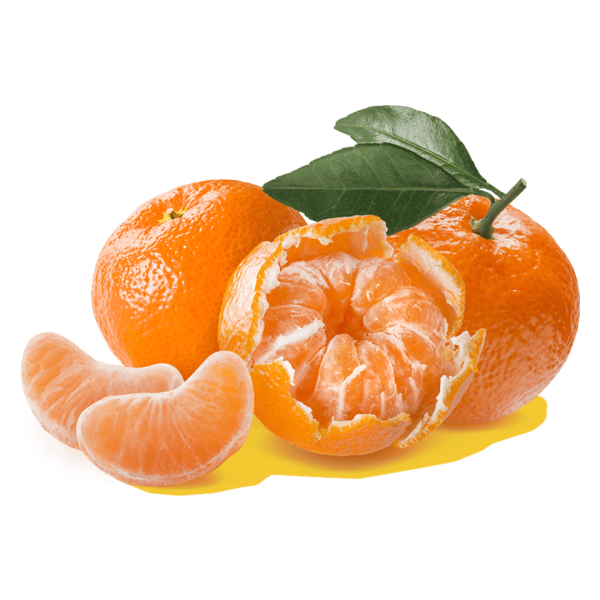 Мандарин без фона