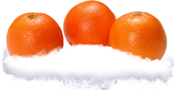 Мандарины на снегу