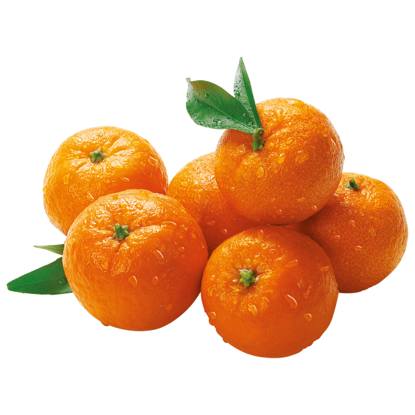 Мандарины Марокко