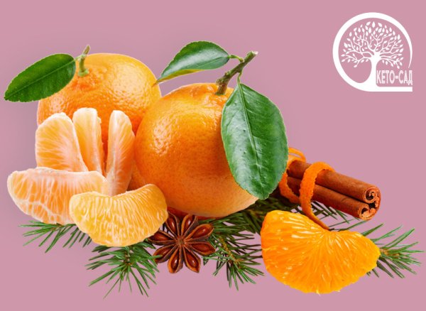 Реклама новый год мандарина