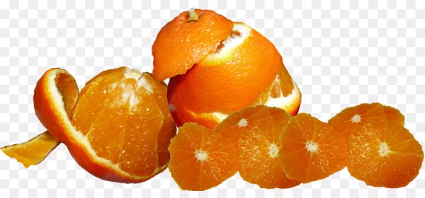 Мандарины новый год прозрачный фон