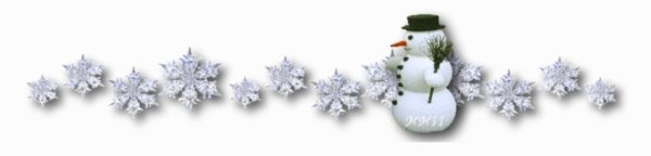 Зимний красивый разделитель