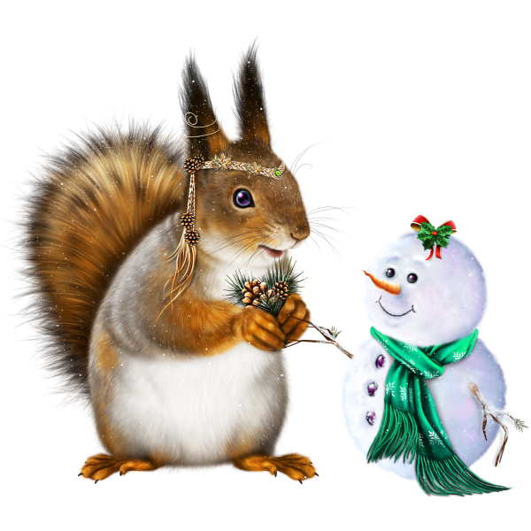 Белка на белом фоне