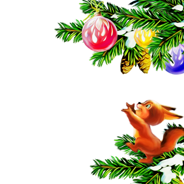 Белка на еловой ветке